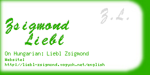 zsigmond liebl business card